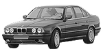 BMW E34 P300D Fault Code