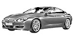 BMW F06 P300D Fault Code